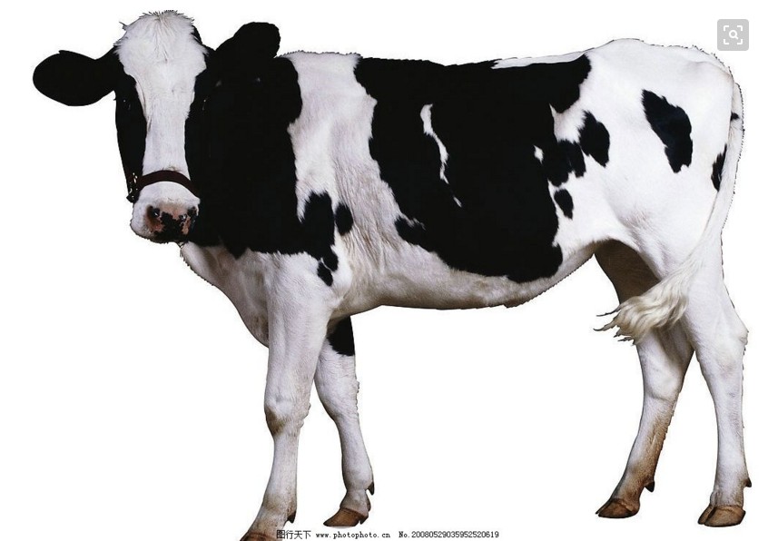 萧乐乐的快乐人生