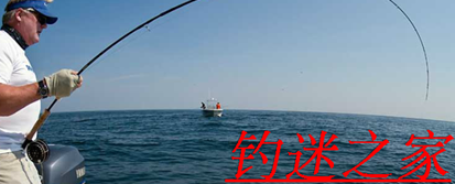 yehaiwei2010