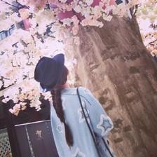 球球是狗狗555
