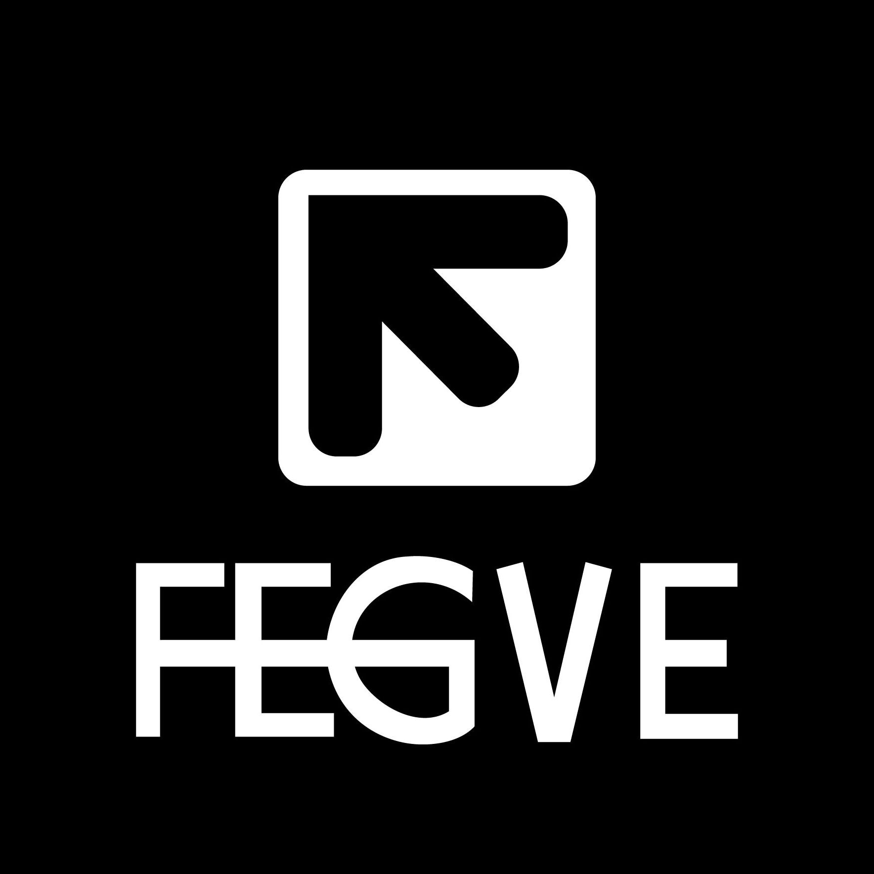 fegve旗舰店