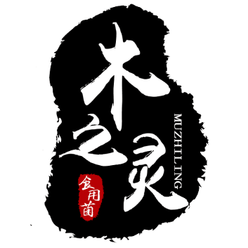yq19886676