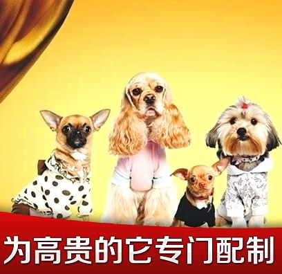 凯威宠物食品
