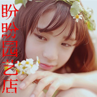盼盼园艺花卉