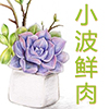 zhang7308672