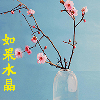 傻傻是执着