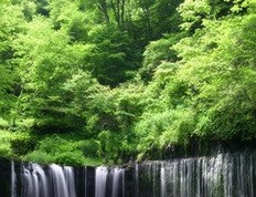 安龙庆时尚潮品店