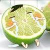 思良2212