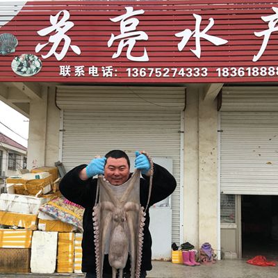 苏亮海鲜13675247333