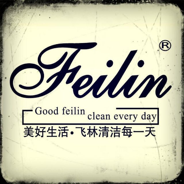 飞林清洁公司