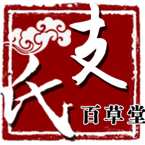 支在衍
