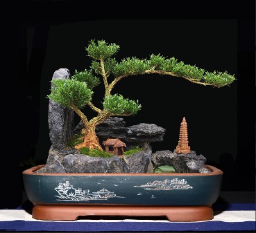 紫玉金砂9568