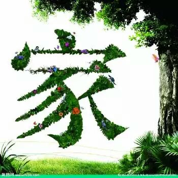 yuantianjian2580