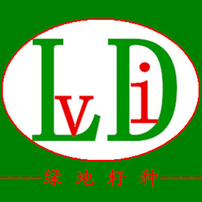 jxyl66888