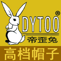 dytoo帝歪兔企业店