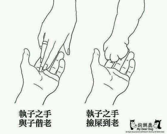 苹果真的是甜的