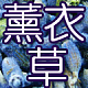 新疆伊犁特产美食店