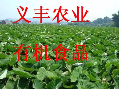 肾病保健