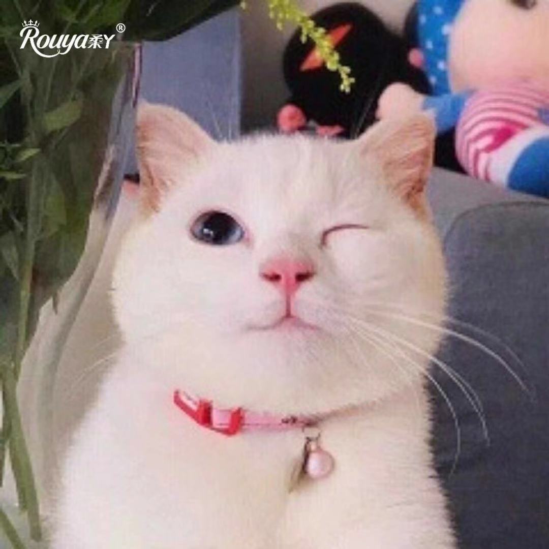 叮铛小天使87