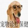 宠物诊疗保健