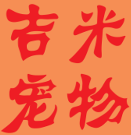 时光未老小毛