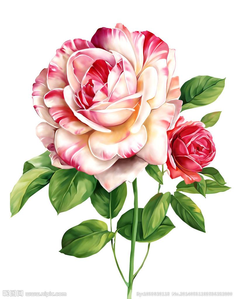 goodday8883367