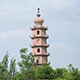 丁丁枸杞馆
