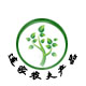 提拉米苏ttms