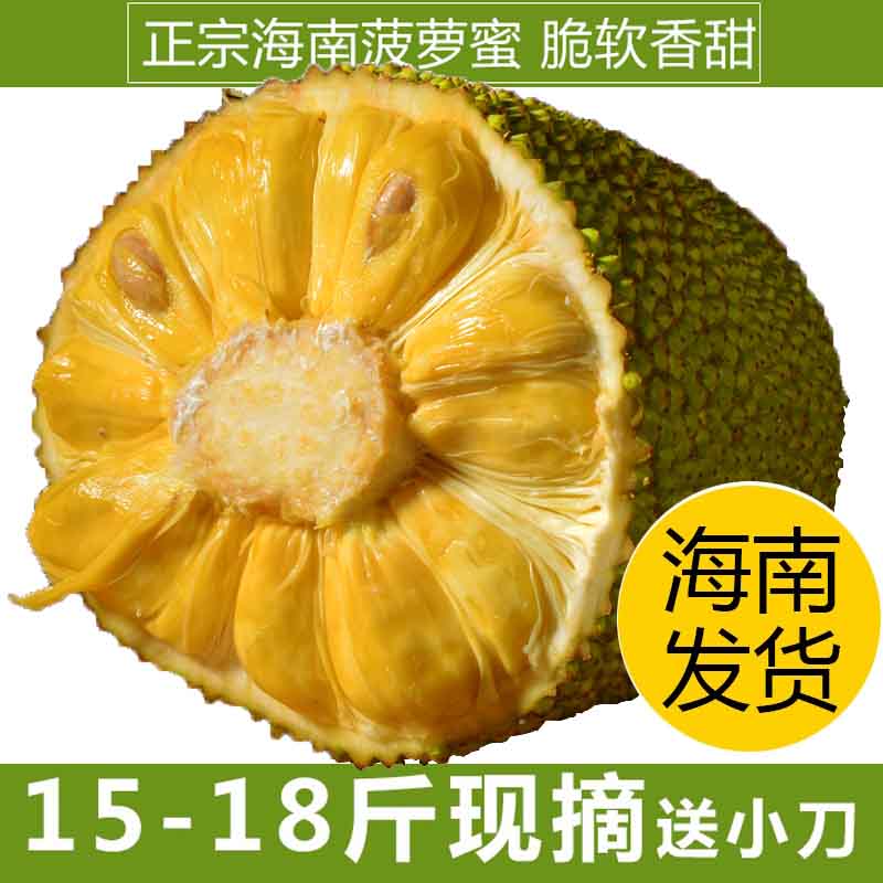 cqiuyue65