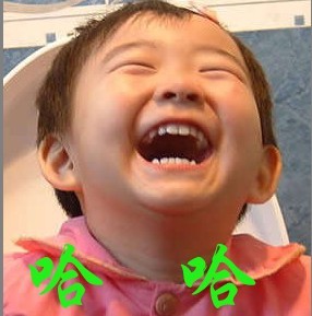 猫咪陶陶陶