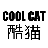 2011年的小雪