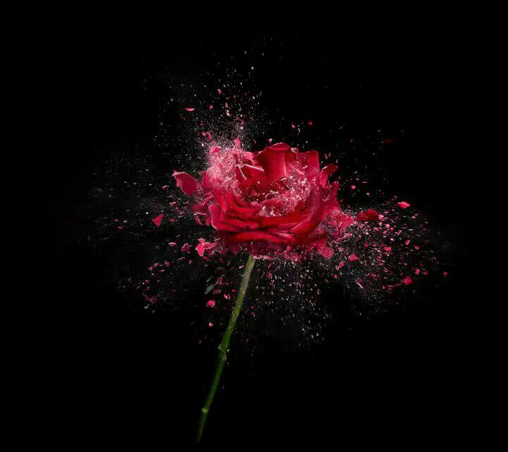 两个人的故事琦琦