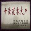 zhou33964811