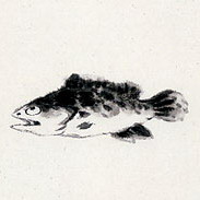 gaojingru0211