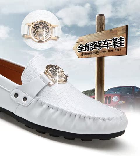 谢智阳668