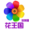 花王国的使者