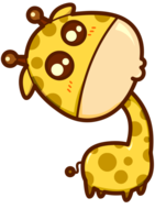 zhuangku0904