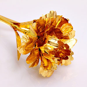 ywquanhui