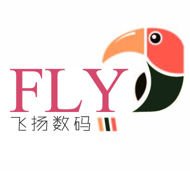 飞扬高新数码