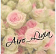 airo_livia0113