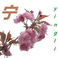 苏美0916