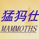 河北卡布奇汽车用品