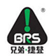 屋顶上的绿色