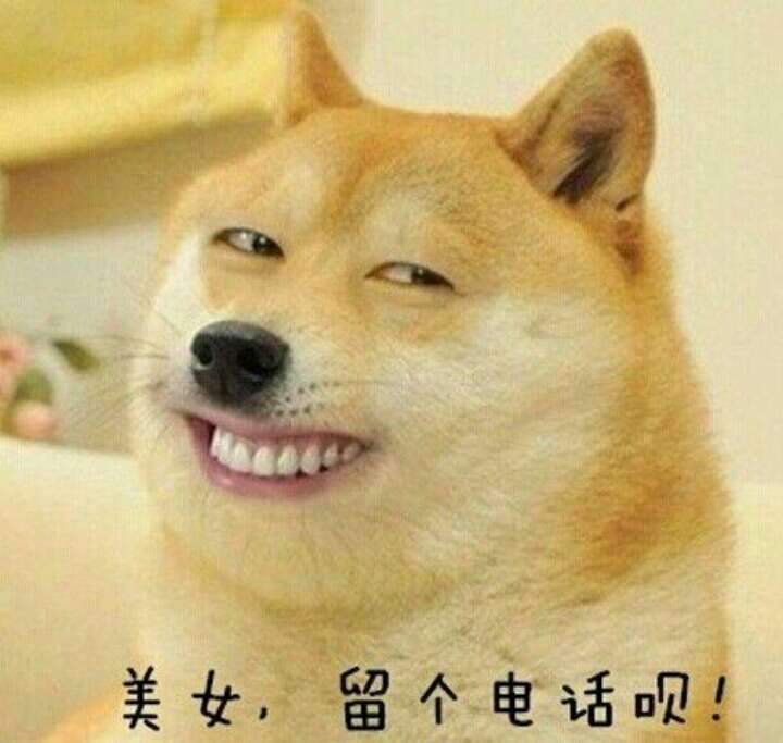 卢家四娃娃