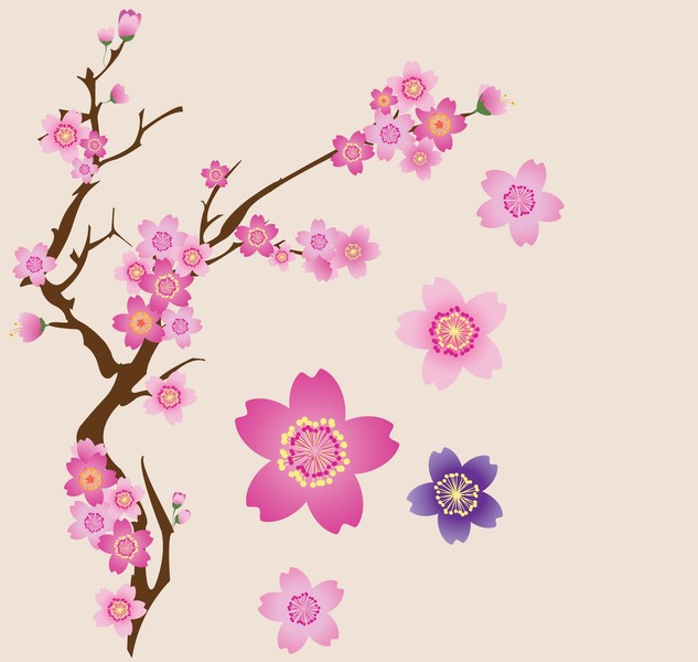 静静等待之晓