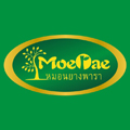莫伊莱旗舰店