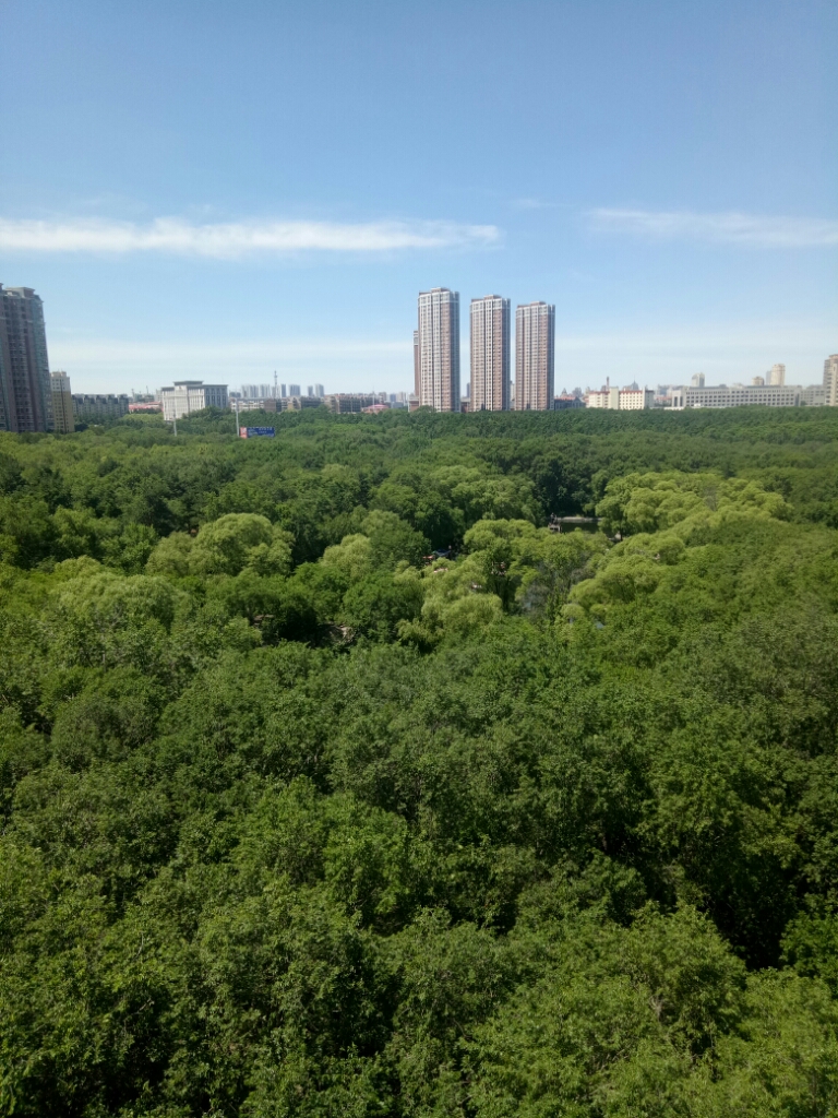 春风秋月今何似