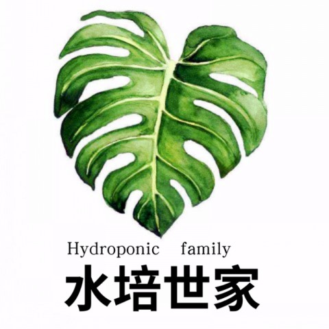 南人街区