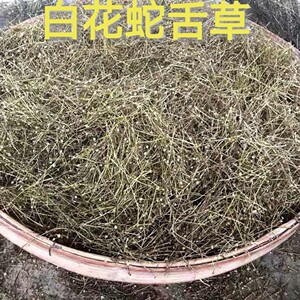 野生白花蛇舌草百花蛇舌草白花舌蛇草当季新货药材500g另售半枝莲