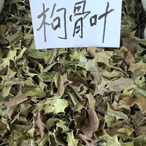 枸骨叶中草药材枸骨叶 功劳叶 羊角刺干品500克包邮