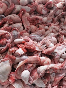 新鲜羊腰头羊肾头羊蛋头羊蛋皮带皮羊蛋带皮羊腰头烧烤火锅专用